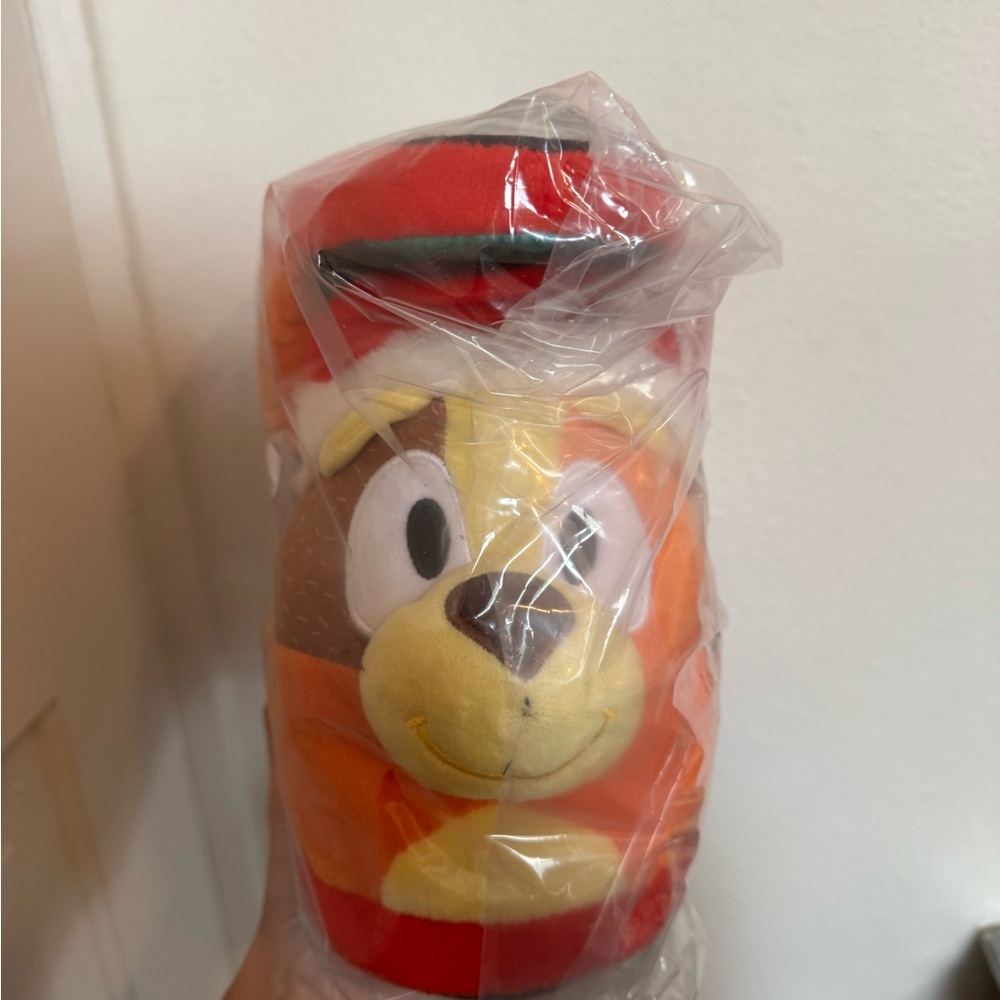 Women’s size 7 bluey slippers